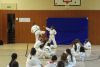 IMGP3189_nb.JPG